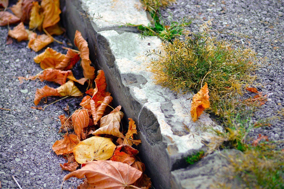 Поребрик осенний. Тротуары в опавших листьях. Кучи листьев по обочинам дорог. Старинный бордюр. Придорожный листья